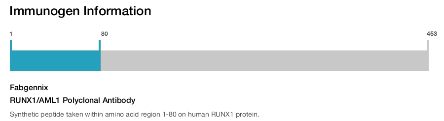 RUNX1/AML1 Polyclonal Antibody
