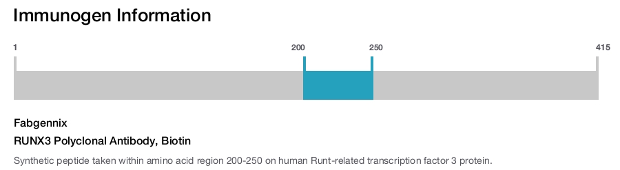 RUNX3 Polyclonal Antibody, Biotin
