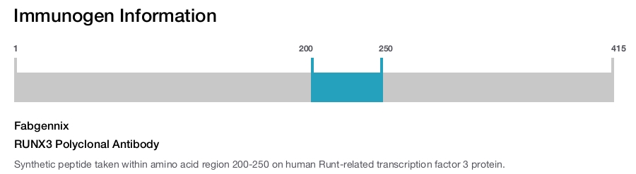 RUNX3 Polyclonal Antibody