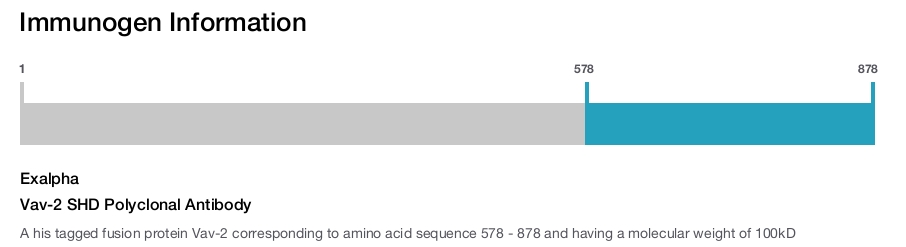 Vav-2 SHD Polyclonal Antibody