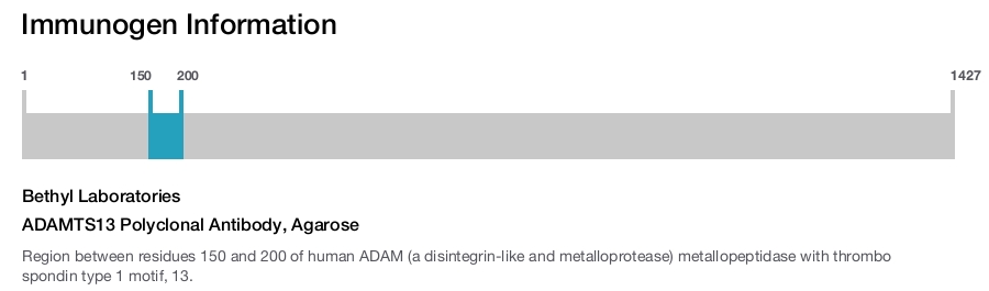 ADAMTS13 Polyclonal Antibody, Agarose