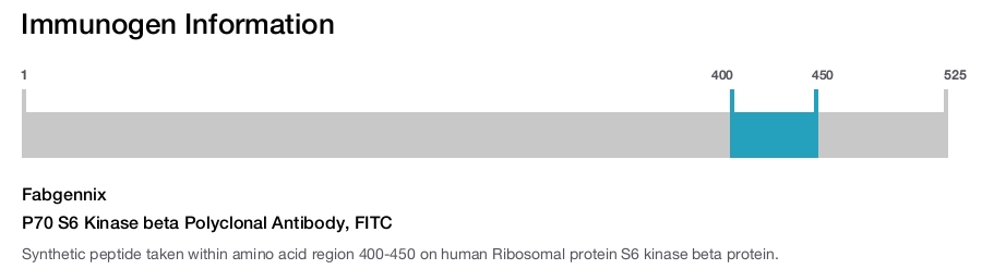 P70 S6 Kinase beta Polyclonal Antibody, FITC