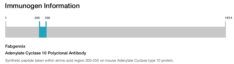 Adenylate Cyclase 10 Polyclonal Antibody