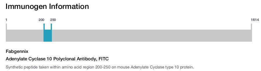 Adenylate Cyclase 10 Polyclonal Antibody, FITC