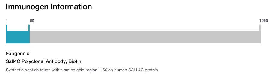 Sall4C Polyclonal Antibody, Biotin