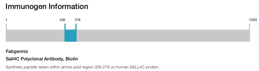 Sall4C Polyclonal Antibody, Biotin