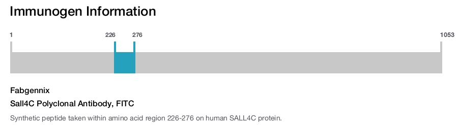 Sall4C Polyclonal Antibody, FITC