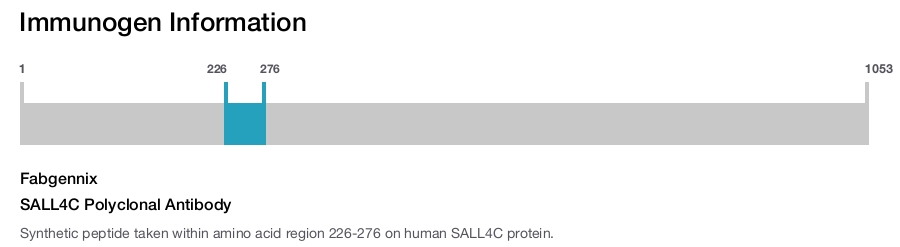 SALL4C Polyclonal Antibody