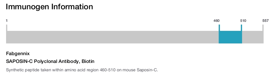 SAPOSIN-C Polyclonal Antibody, Biotin