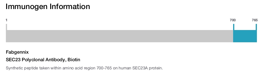 SEC23 Polyclonal Antibody, Biotin