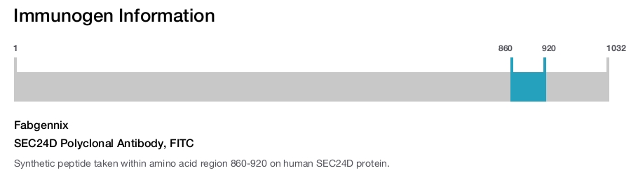SEC24D Polyclonal Antibody, FITC