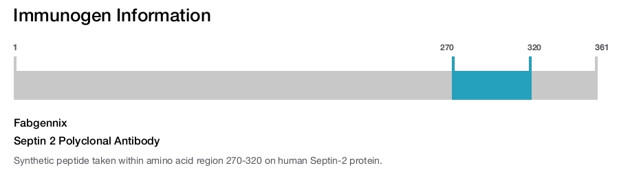 Septin 2 Polyclonal Antibody