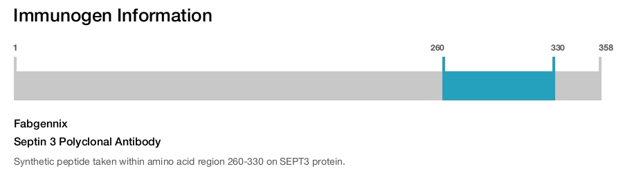 Septin 3 Polyclonal Antibody