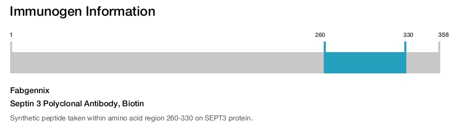 Septin 3 Polyclonal Antibody, Biotin