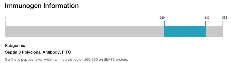 Septin 3 Polyclonal Antibody, FITC