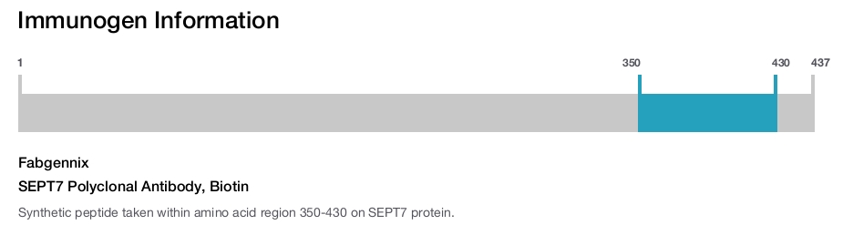 SEPT7 Polyclonal Antibody, Biotin