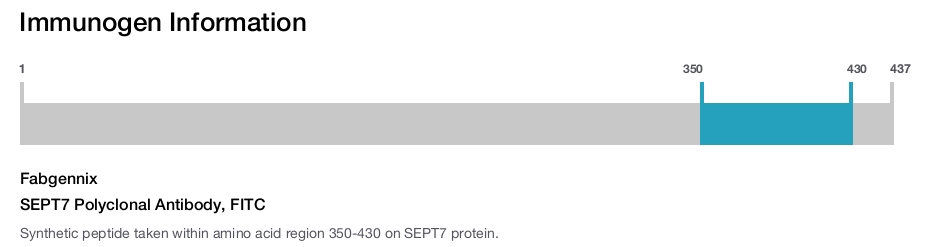 SEPT7 Polyclonal Antibody, FITC