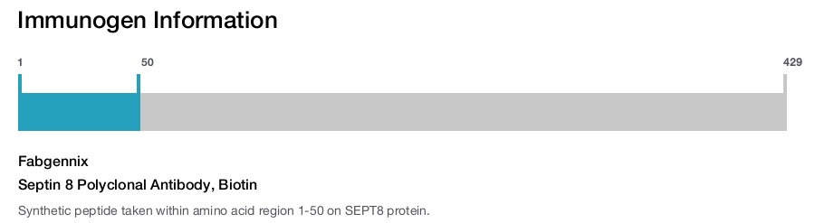 Septin 8 Polyclonal Antibody, Biotin