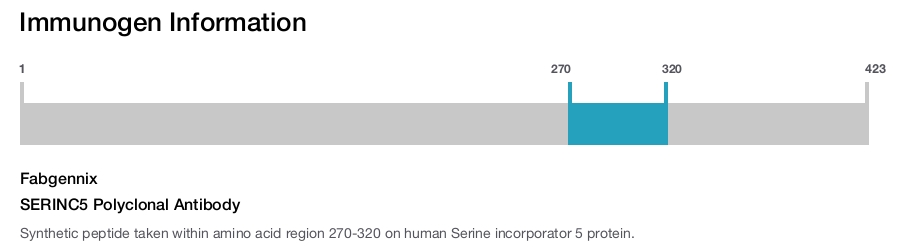 SERINC5 Polyclonal Antibody