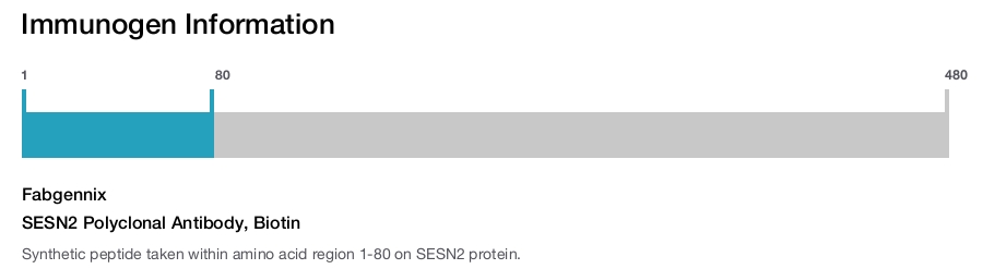 SESN2 Polyclonal Antibody, Biotin