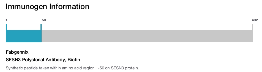 SESN3 Polyclonal Antibody, Biotin