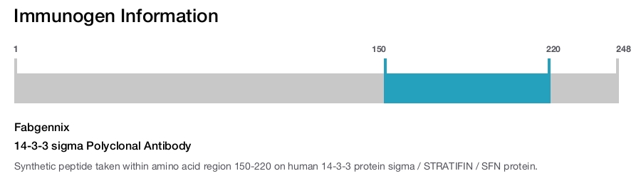 14-3-3 sigma Polyclonal Antibody
