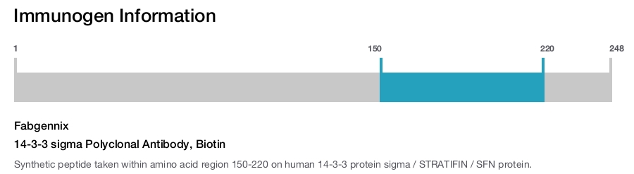 14-3-3 sigma Polyclonal Antibody, Biotin