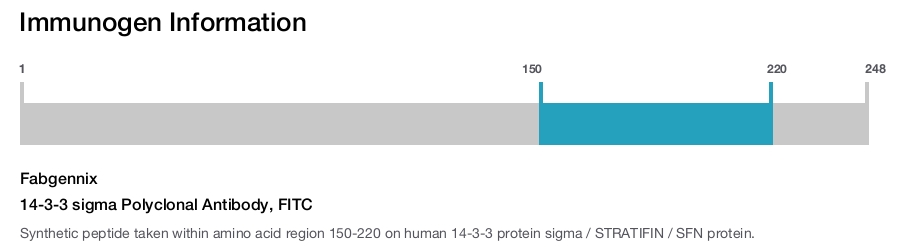 14-3-3 sigma Polyclonal Antibody, FITC