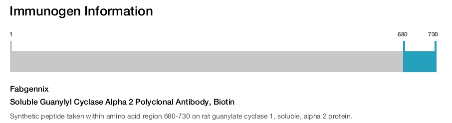 Soluble Guanylyl Cyclase Alpha 2 Polyclonal Antibody, Biotin