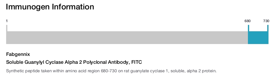 Soluble Guanylyl Cyclase Alpha 2 Polyclonal Antibody, FITC