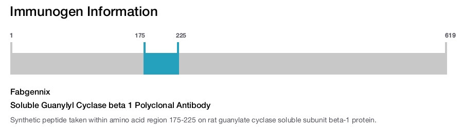 Soluble Guanylyl Cyclase beta 1 Polyclonal Antibody