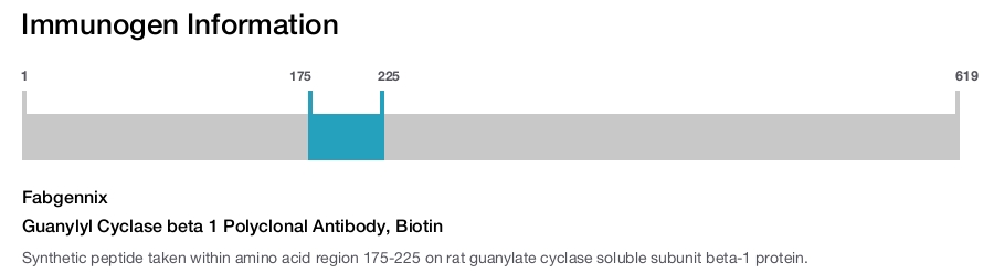 Guanylyl Cyclase beta 1 Polyclonal Antibody, Biotin