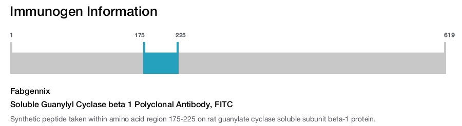 Soluble Guanylyl Cyclase beta 1 Polyclonal Antibody, FITC