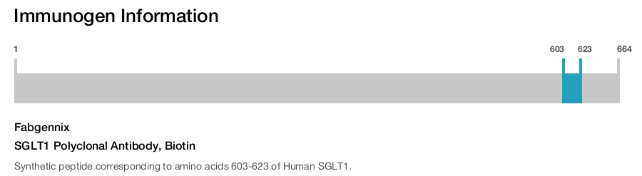 SGLT1 Polyclonal Antibody, Biotin