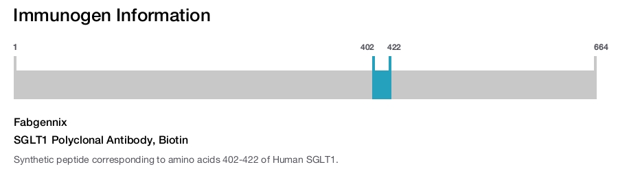 SGLT1 Polyclonal Antibody, Biotin