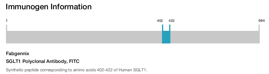 SGLT1 Polyclonal Antibody, FITC