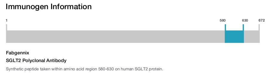 SGLT2 Polyclonal Antibody