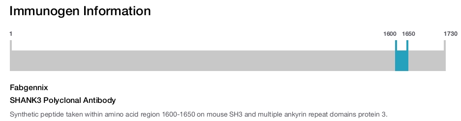 SHANK3 Polyclonal Antibody