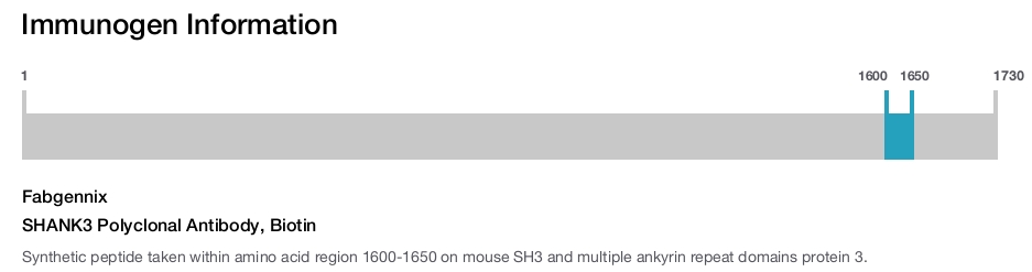 SHANK3 Polyclonal Antibody, Biotin