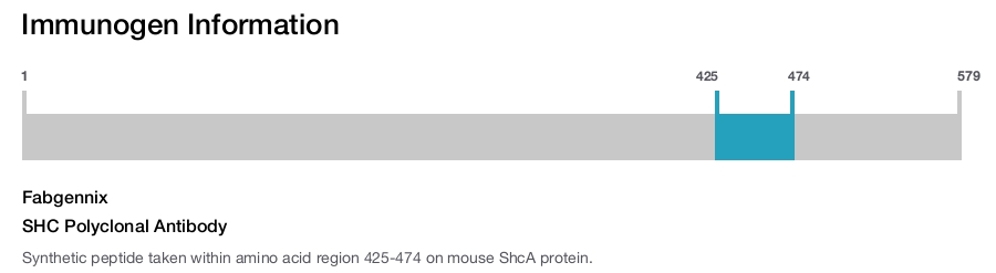 SHC Polyclonal Antibody