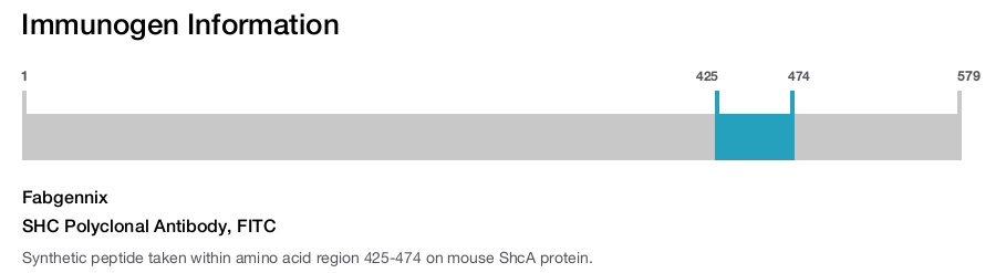 SHC Polyclonal Antibody, FITC