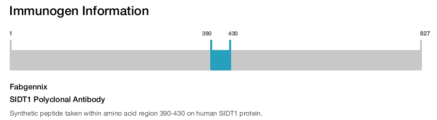 SIDT1 Polyclonal Antibody
