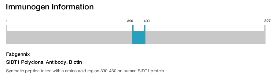 SIDT1 Polyclonal Antibody, Biotin