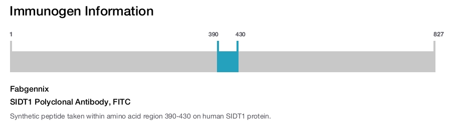 SIDT1 Polyclonal Antibody, FITC