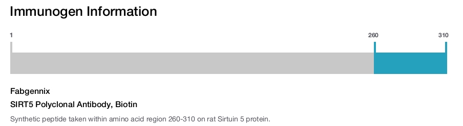 SIRT5 Polyclonal Antibody, Biotin