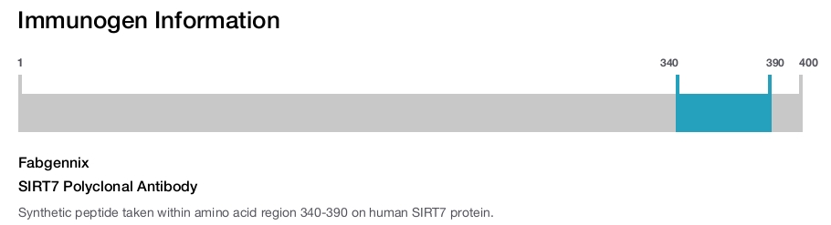 SIRT7 Polyclonal Antibody