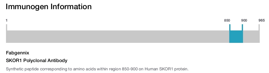SKOR1 Polyclonal Antibody