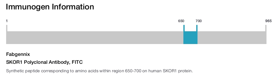 SKOR1 Polyclonal Antibody, FITC