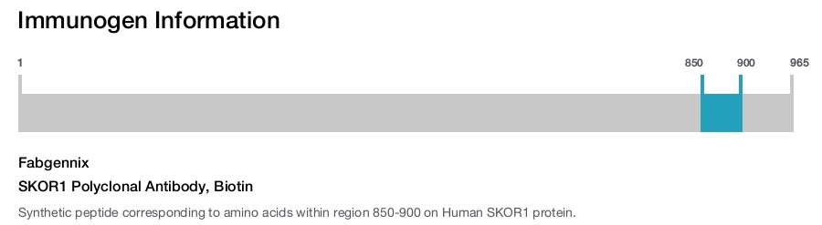 SKOR1 Polyclonal Antibody, Biotin