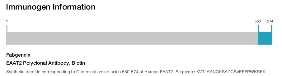EAAT2 Polyclonal Antibody, Biotin
